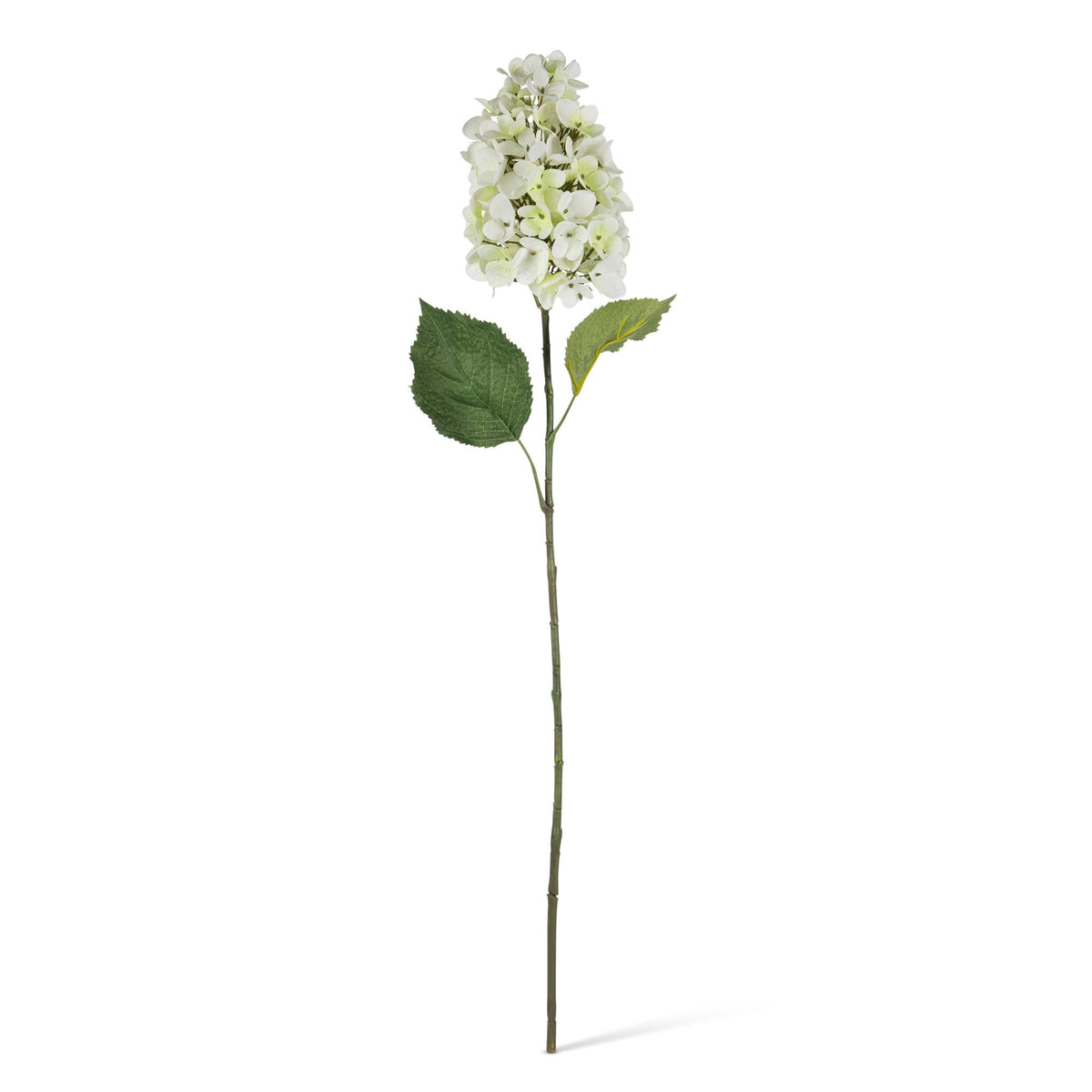 30.7" Large White Cone Blossom Hyrdrangea Stem