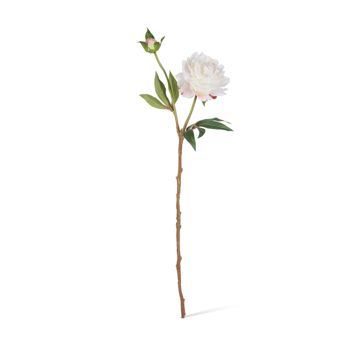 21.25" Peony Stem with Flower, Bud, and Leaves, 3 Asst