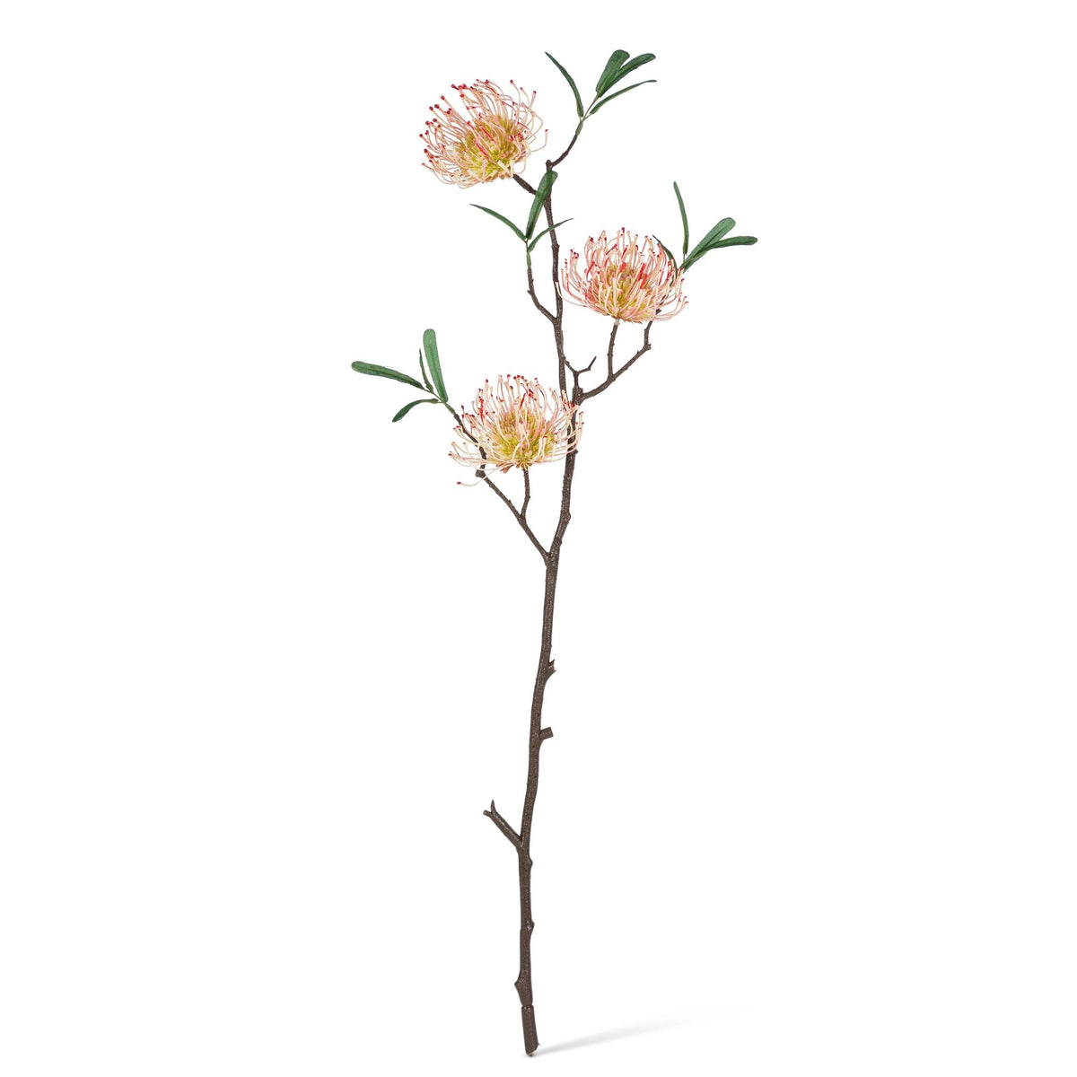 32.25" Needle Protea Stem with 3 Floral Heads and Leaves