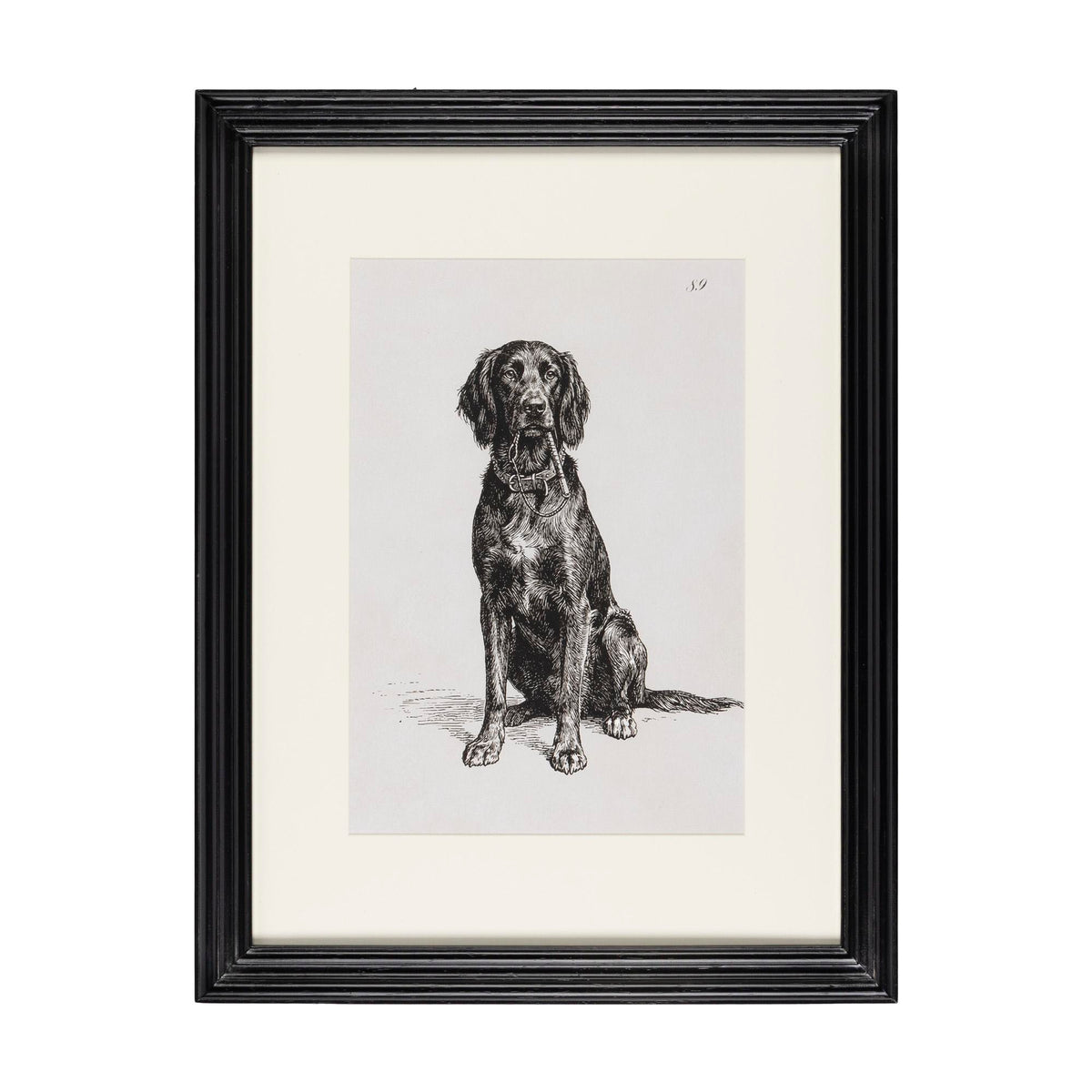 Loyal Guardian Print II