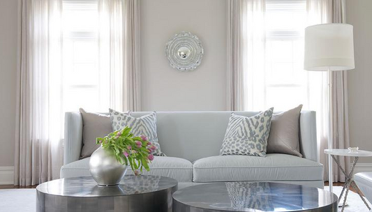 Modern living room with a gray sofa, coffee table, and decorative elements.