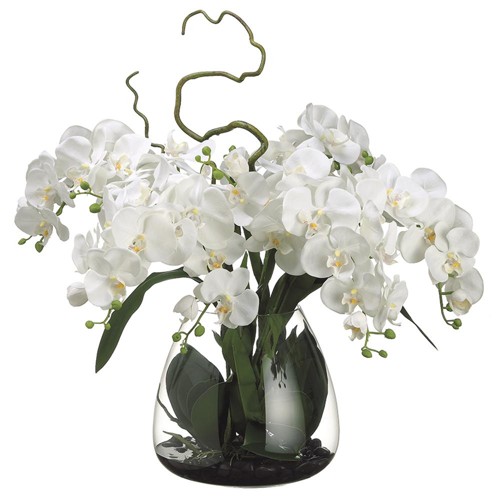Artificial Phalaenopsis Faux Orchid in Glass Vase Cream