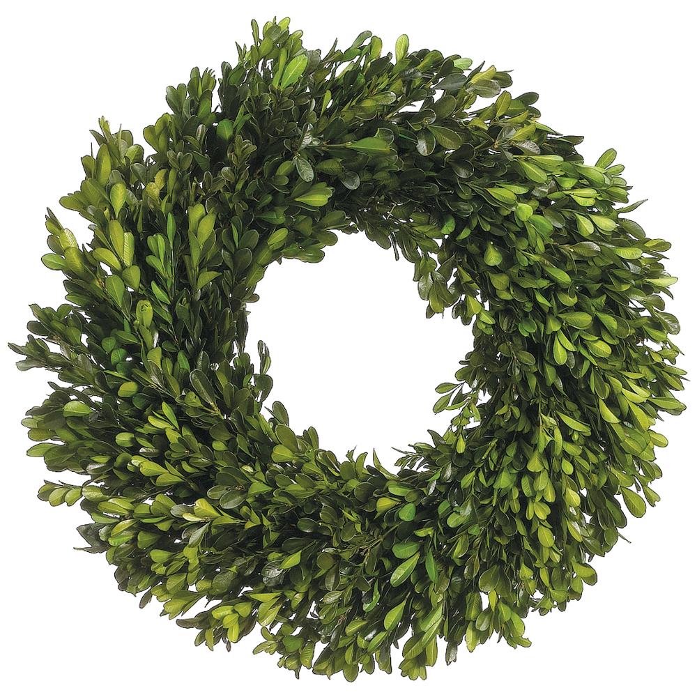 Preserved Boxwood Wreath 17"-Discontinued no stock