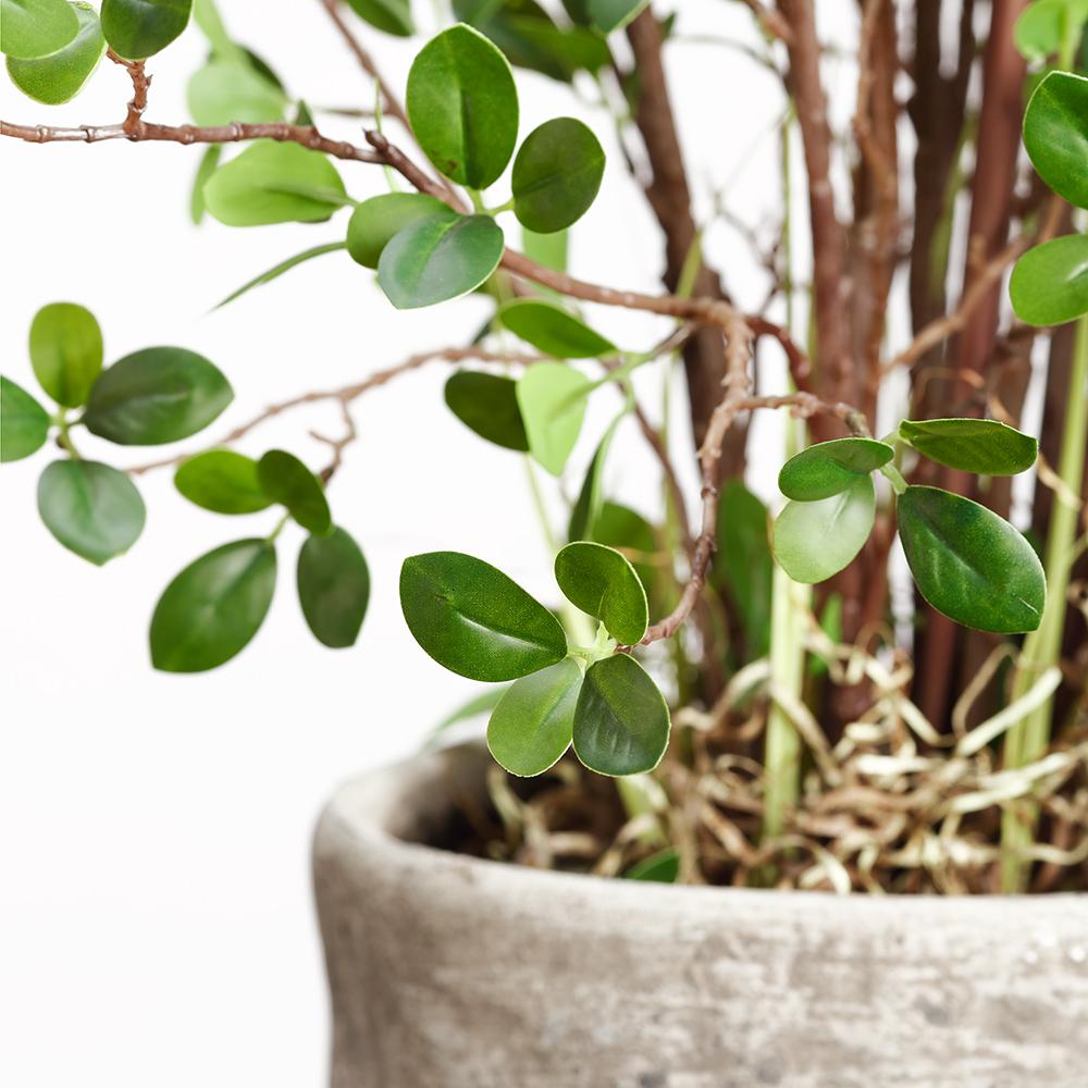 Artificial 5' Faux Mini Leaf in Cement Planter- Out of stock till Jan 26