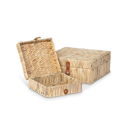 Island Palm Decorative Boxes, Set of 2