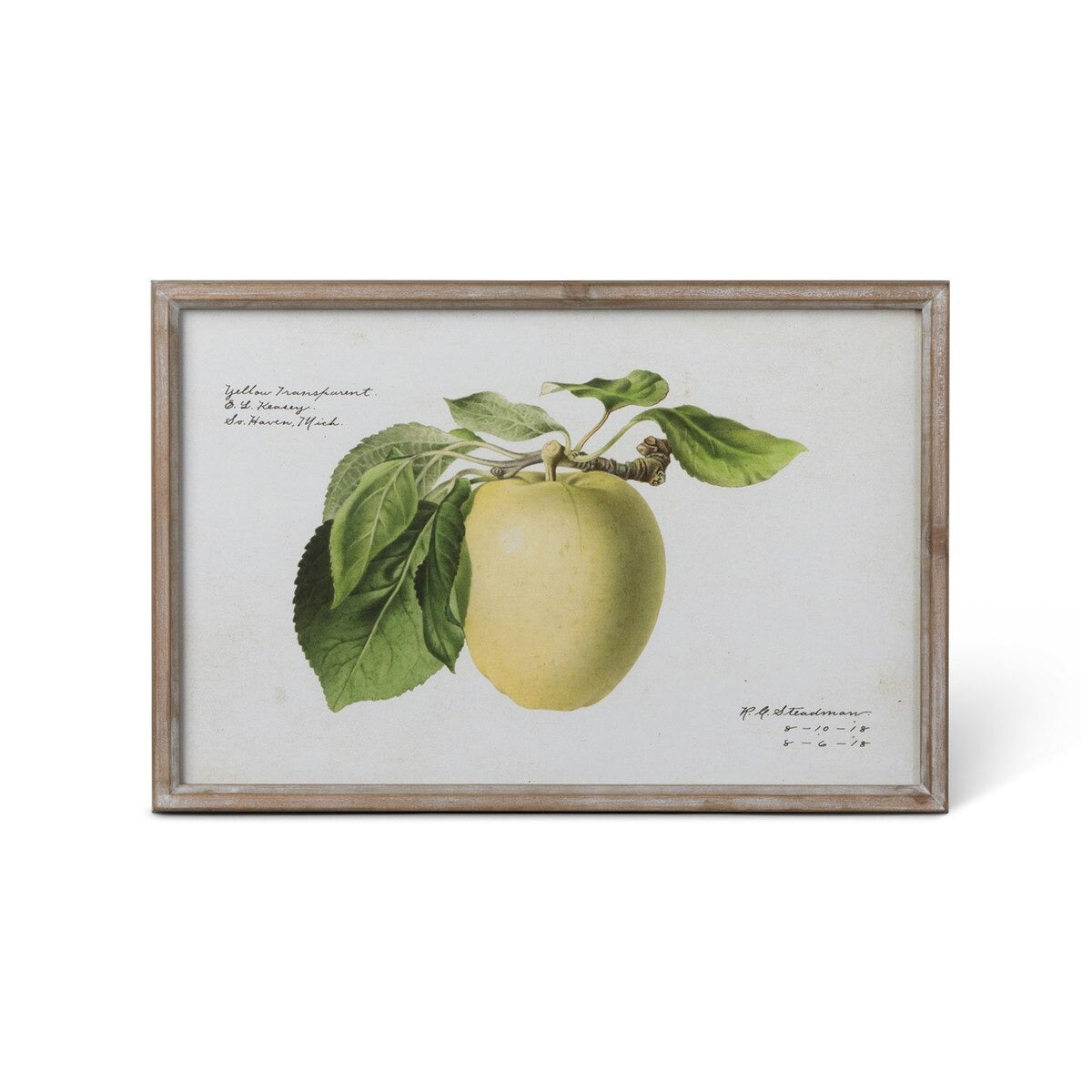 Vintage Orchard Framed Fruits Wall Art, 4 Assorted Styles