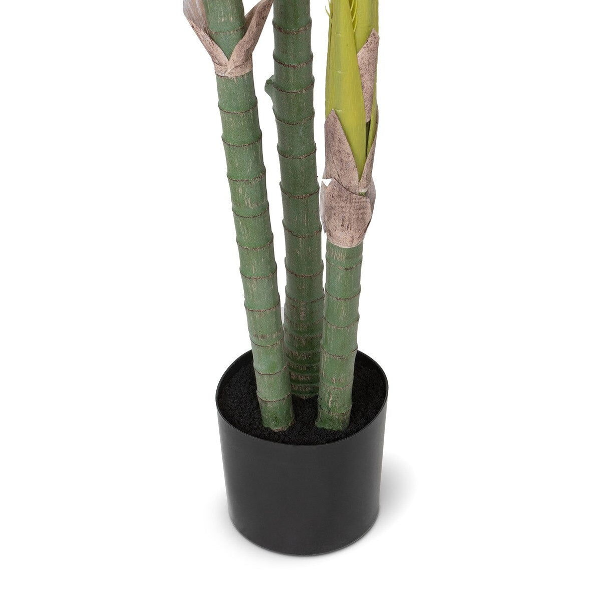 Faux Palm with Weighted Black Pot, 82"