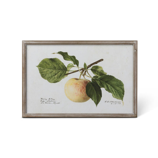 Vintage Orchard Framed Fruits Wall Art, 4 Assorted Styles
