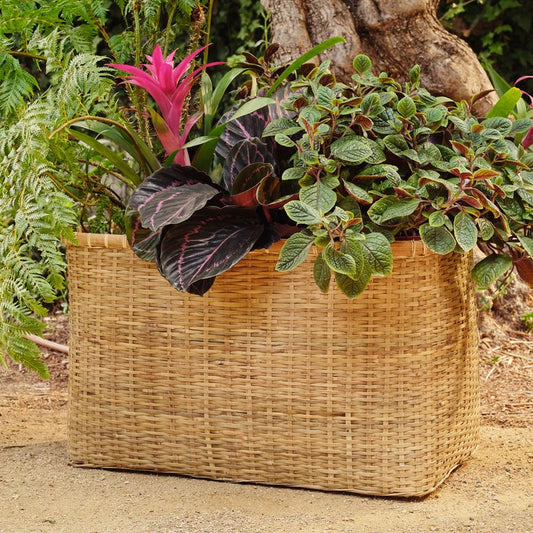 Mosley Rect Planter Set