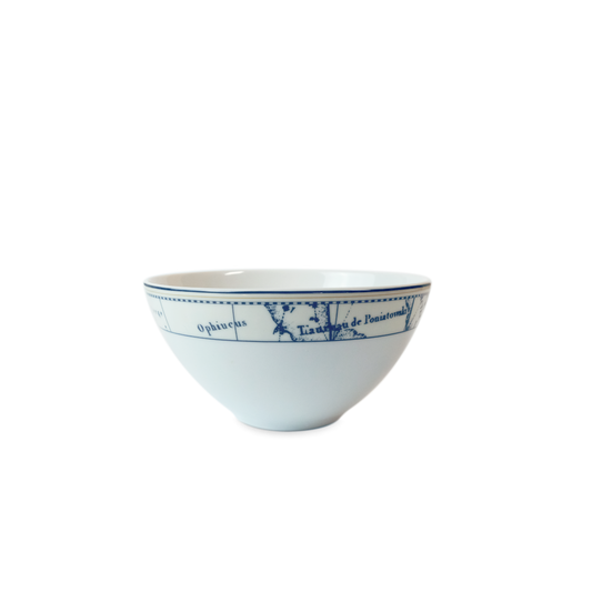 Constellation Bowl 5.5"