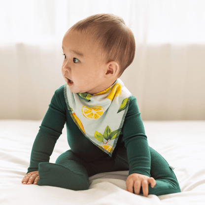 Dream Bandana Bibs Drool Bibs