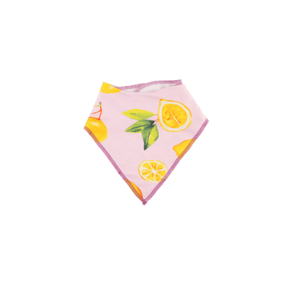Dream Bandana Bibs Drool Bibs