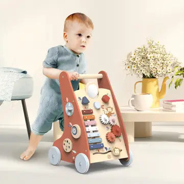 Multi Activity Walker Toy for Toddlers