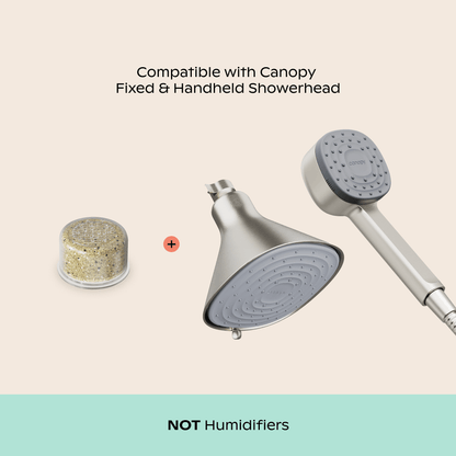 Showerhead Filter