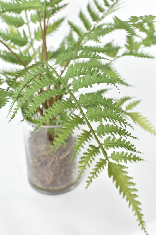25" Faux Forest Fern in Glass Vase