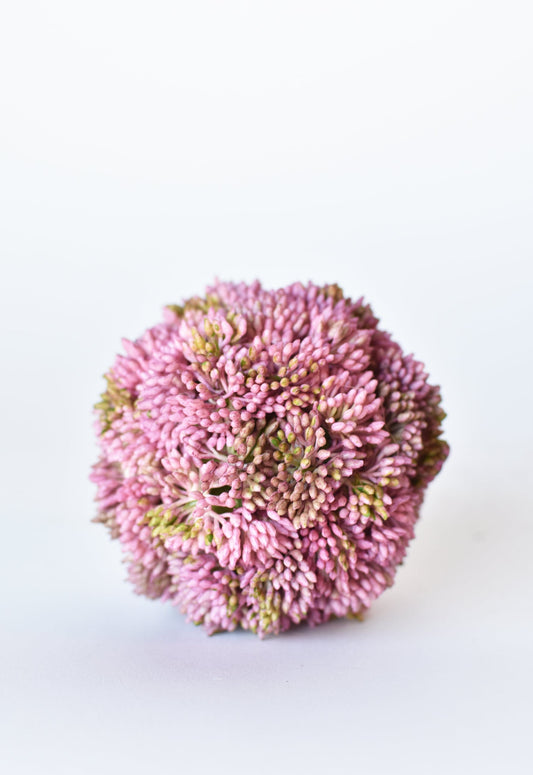 4" Faux Mauve Sedum Pink & Lime Botanicals