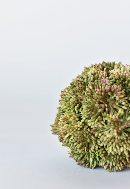 4" Faux Green Sedum Botanicals