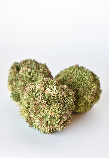 4" Faux Green Sedum Botanicals