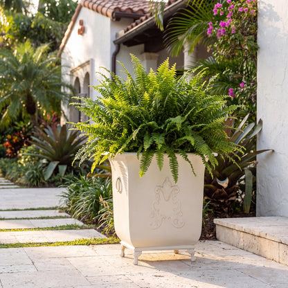 Grand Scroll Planter, Antiqued White