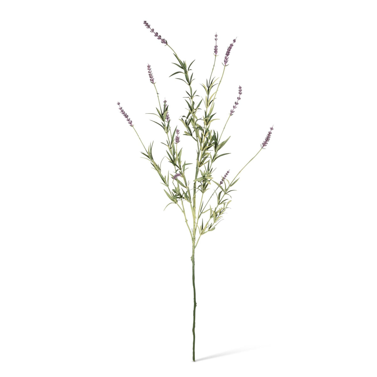 37" Lavender Stem