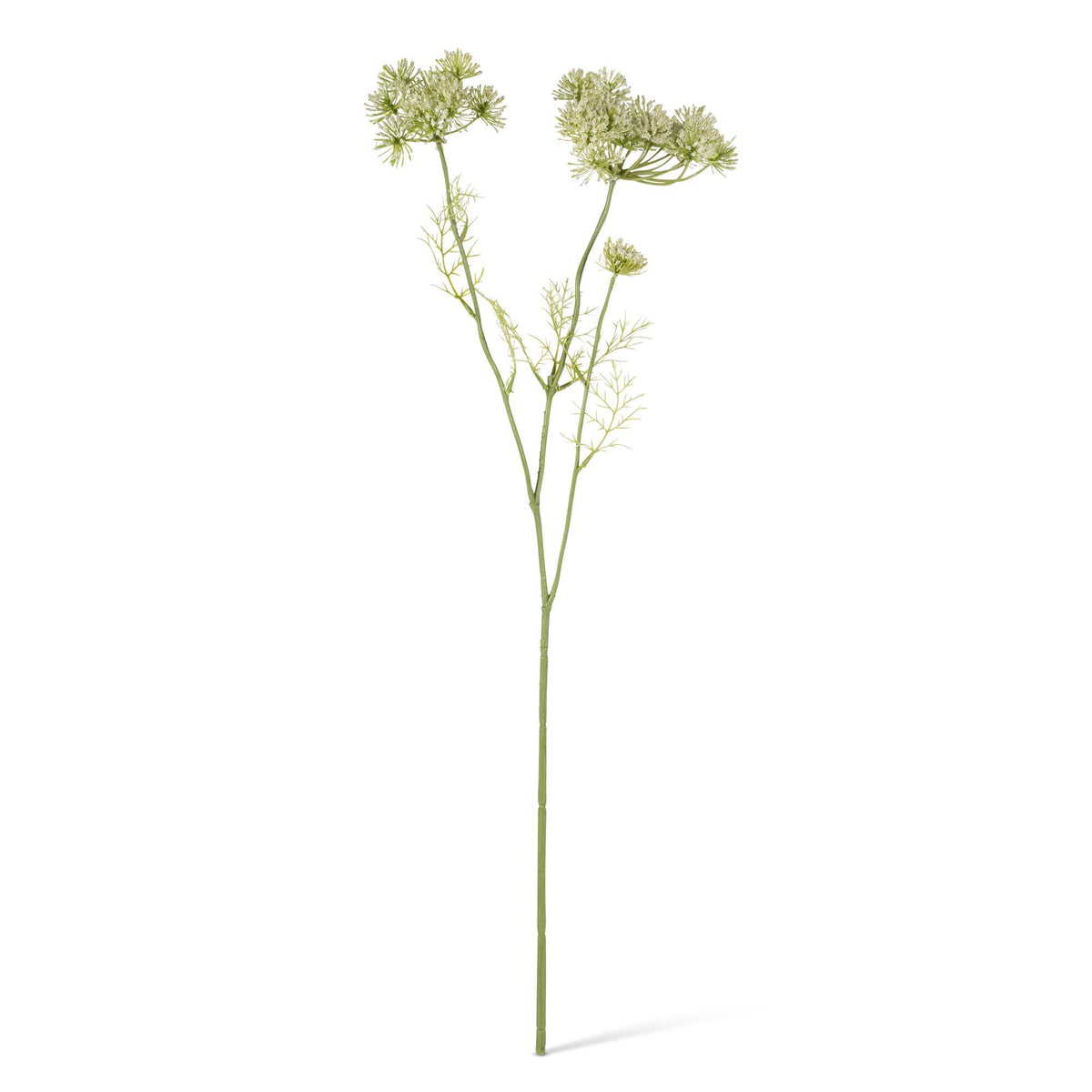 29.1" Queen Ann's Lace Floral Stem, 3 Asst