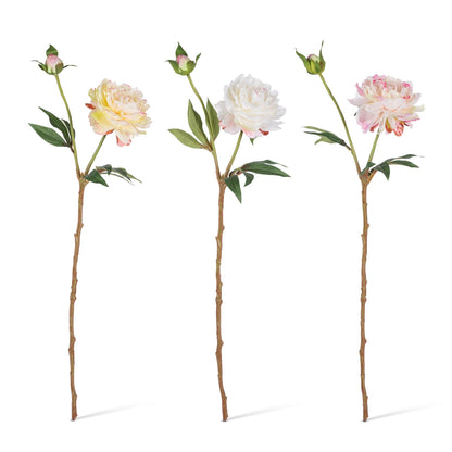 21.25" Peony Stem with Flower, Bud, and Leaves, 3 Asst