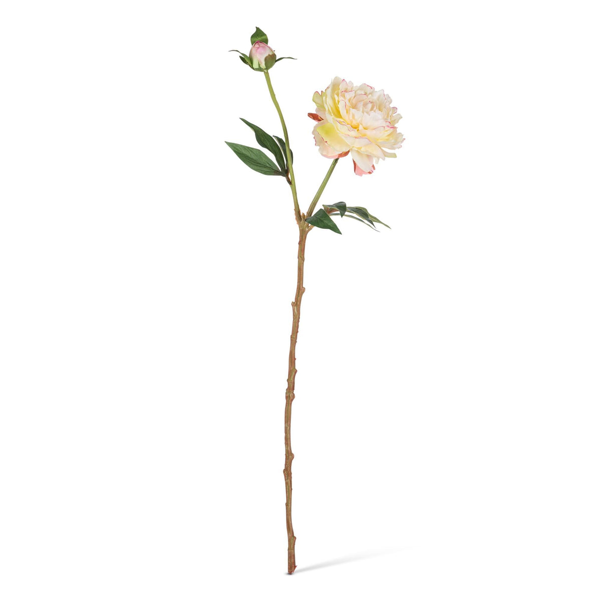 21.25" Peony Stem with Flower, Bud, and Leaves, 3 Asst