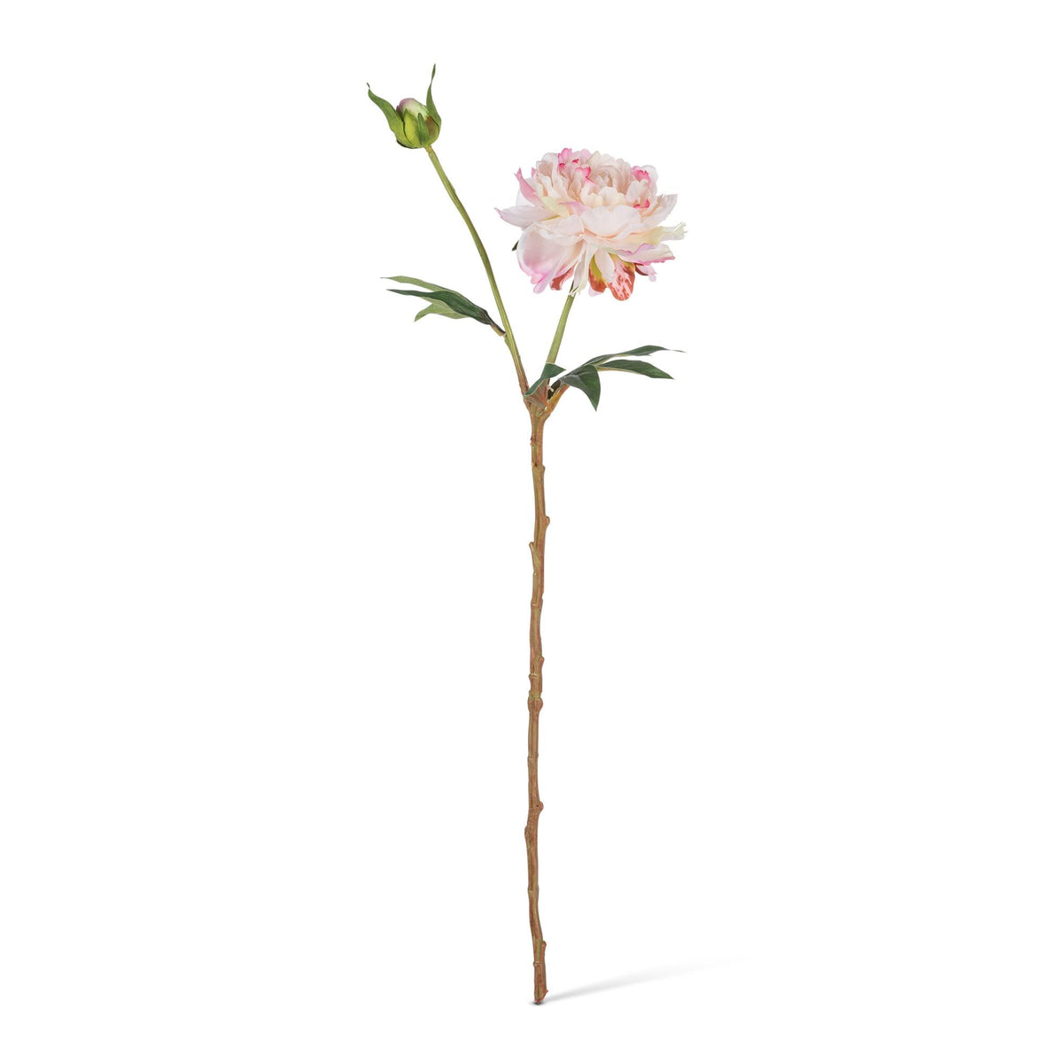 21.25" Peony Stem with Flower, Bud, and Leaves, 3 Asst