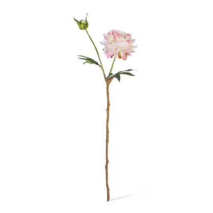 21.25" Peony Stem with Flower, Bud, and Leaves, 3 Asst