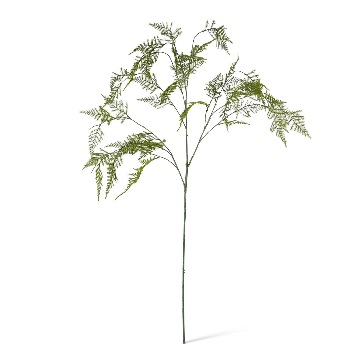 43.5" Large Asparagus Fern stem