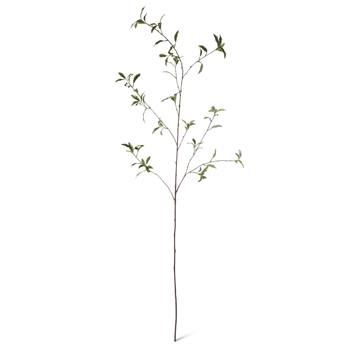 58.25" Tall Spring Varigaged leaf Stem