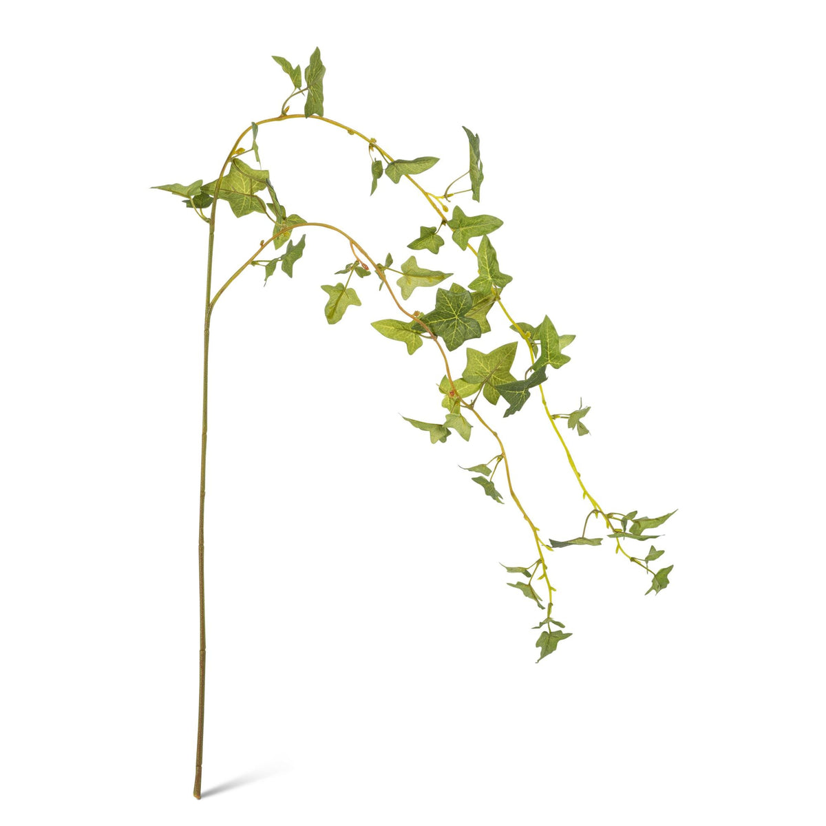 41.7" Drooping English Ivy Stem