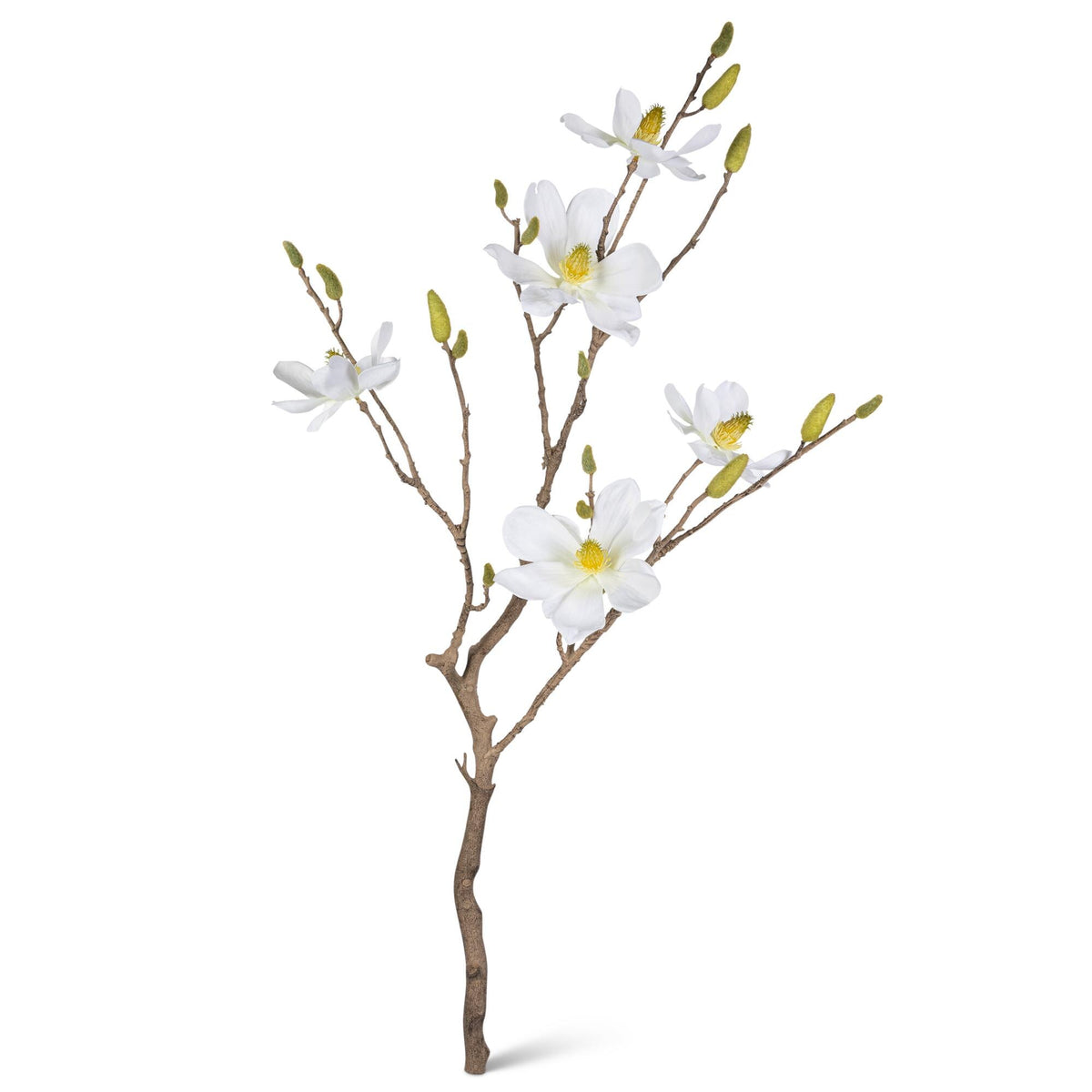 36.2" Magnolia Branch with 5 Flower Buds