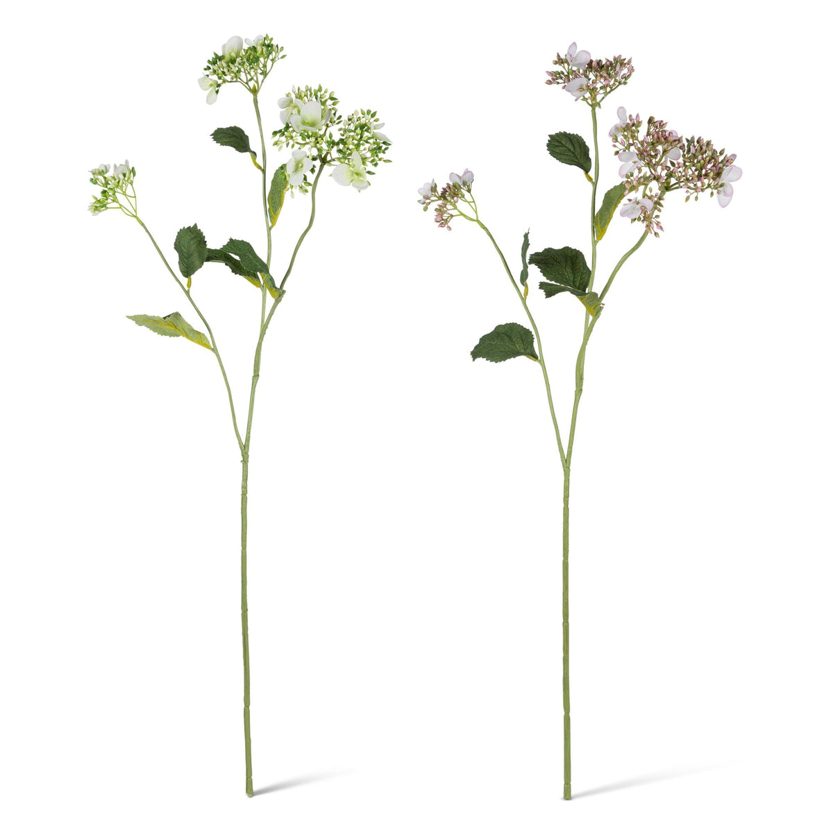 30.7" Wild Hydrangea Stem with Seeds & Leaves, 2 Asst