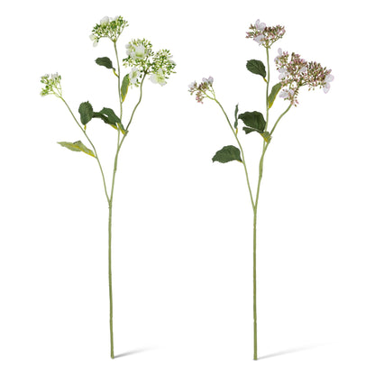 30.7" Wild Hydrangea Stem with Seeds & Leaves, 2 Asst