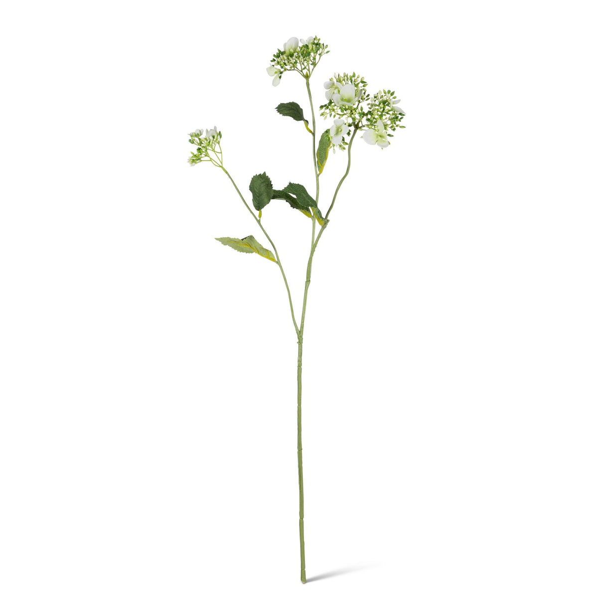 30.7" Wild Hydrangea Stem with Seeds & Leaves, 2 Asst