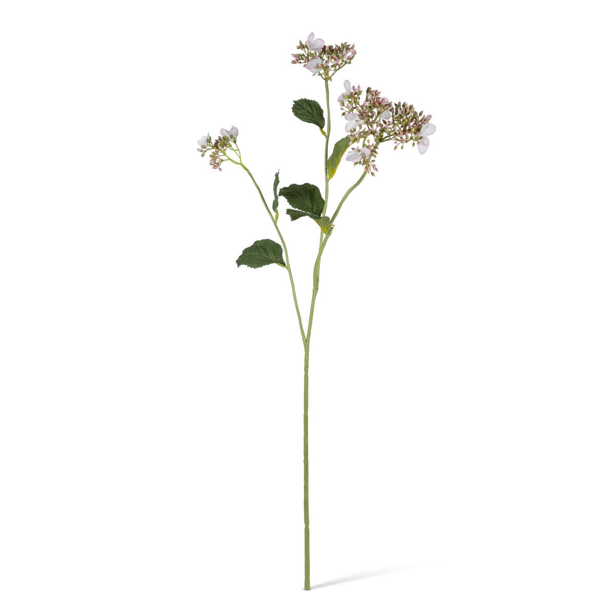 30.7" Wild Hydrangea Stem with Seeds & Leaves, 2 Asst