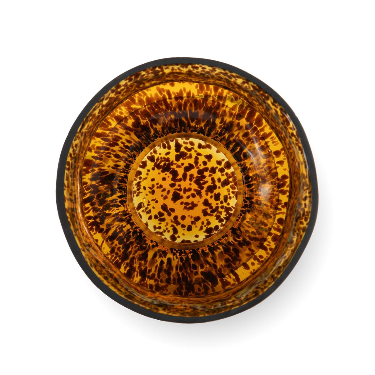 Tortuga Vase, Tortoise