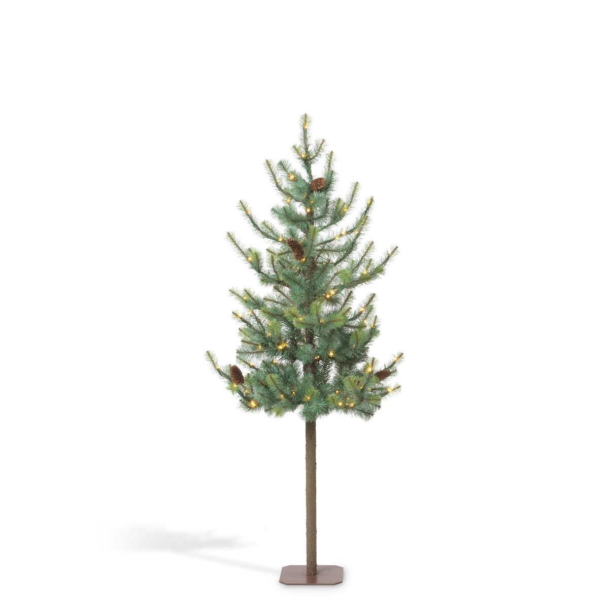 Blue Spruce Alpine Tree, 60"
