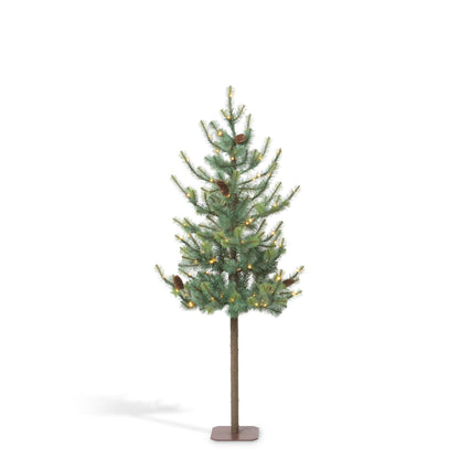 Blue Spruce Alpine Tree, 60"