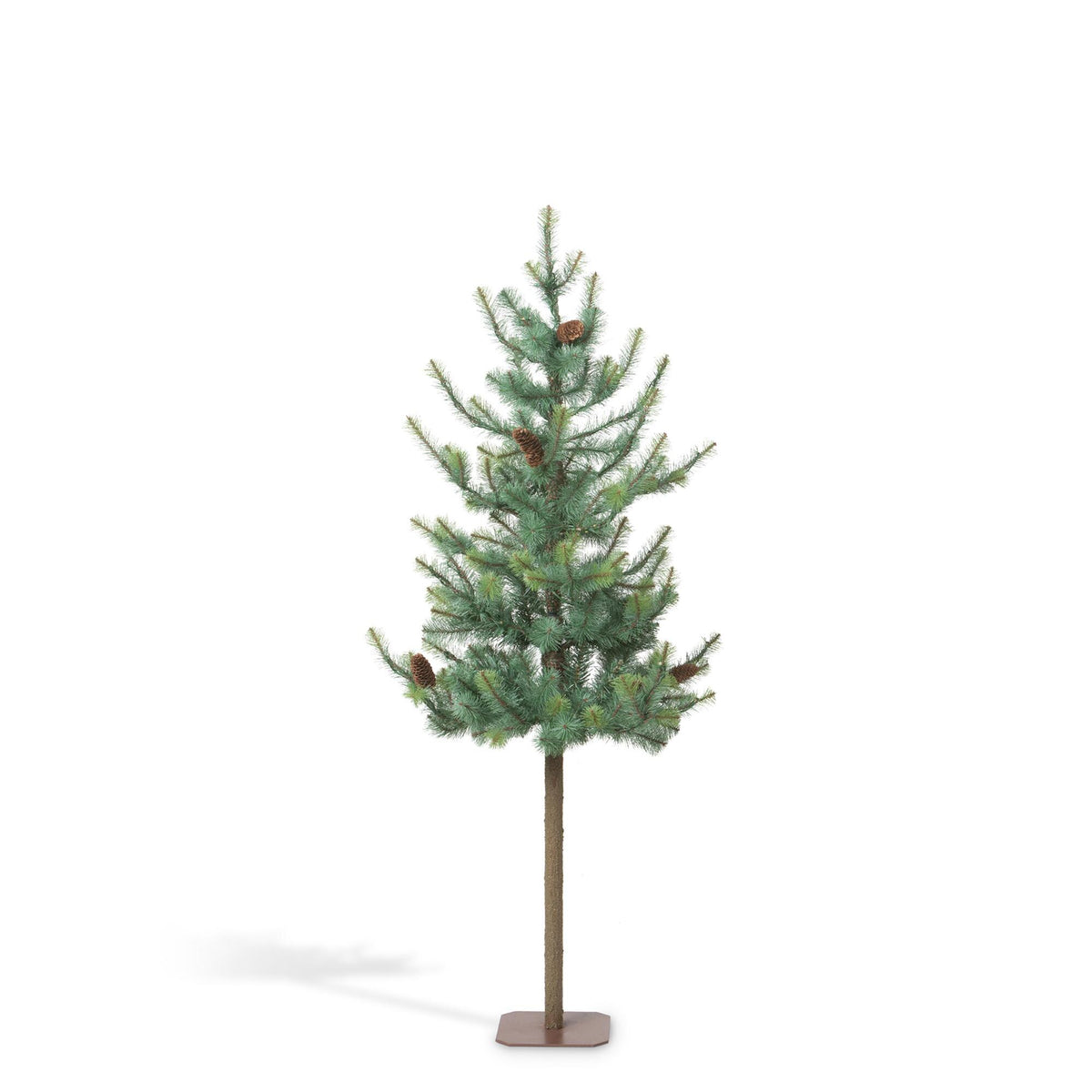 Blue Spruce Alpine Tree, 60"