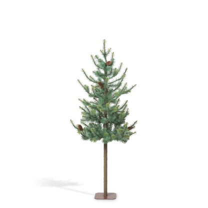 Blue Spruce Alpine Tree, 60"