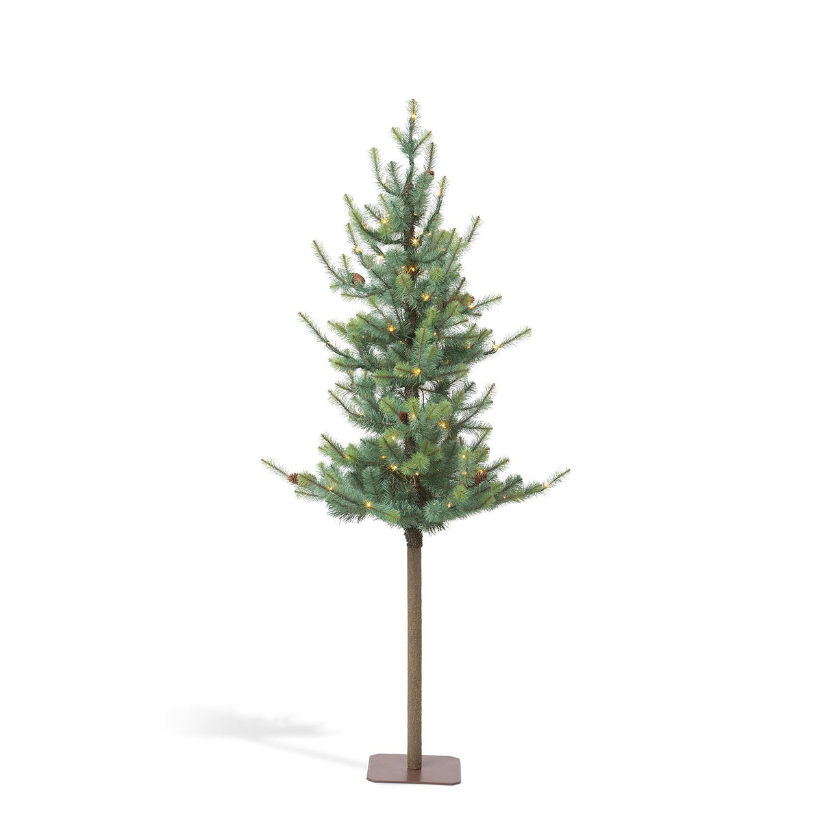 Blue Spruce Alpine Tree, 72"