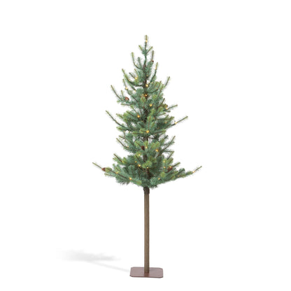 Blue Spruce Alpine Tree, 72"