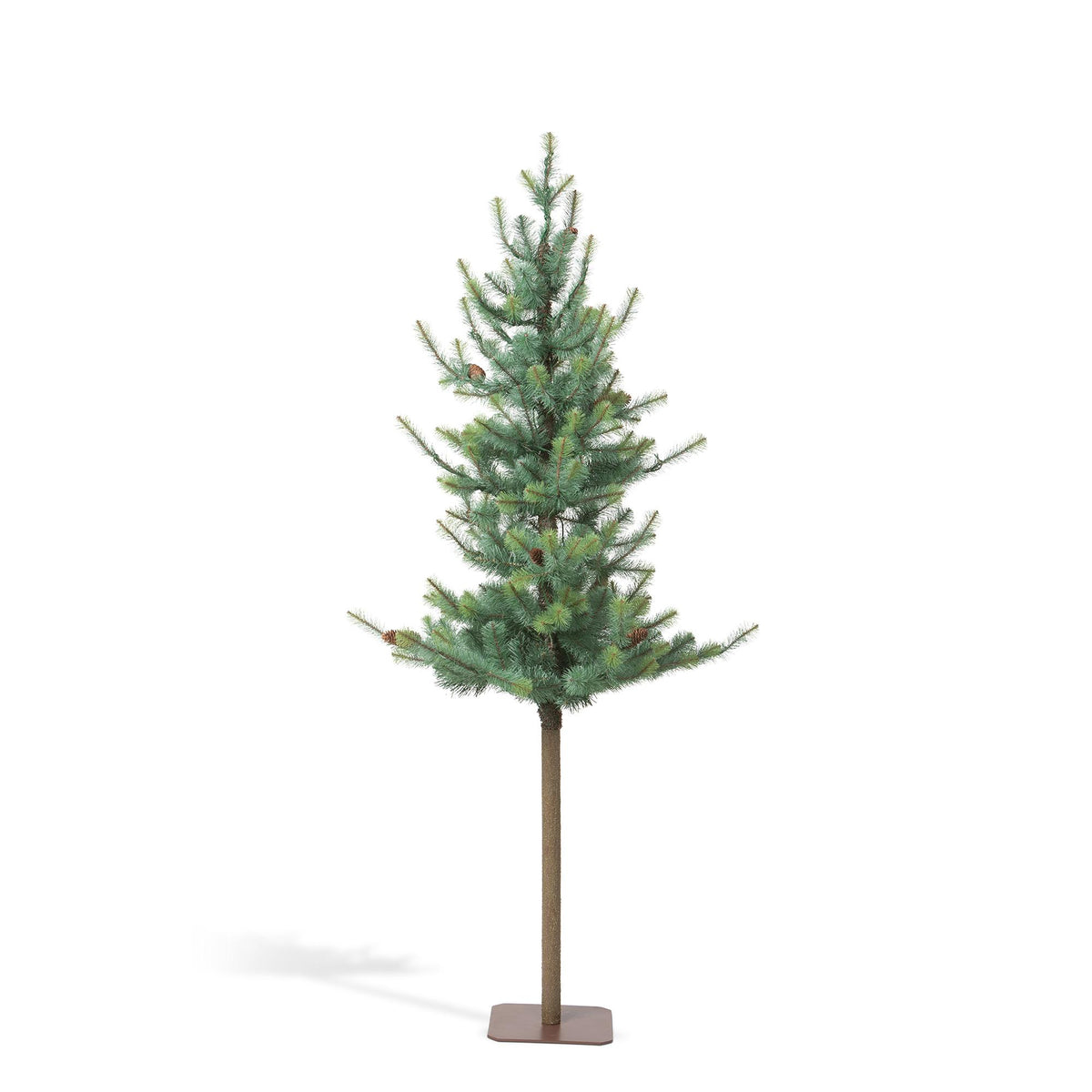 Blue Spruce Alpine Tree, 72"