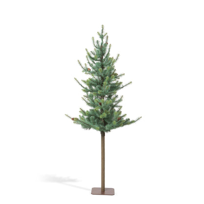 Blue Spruce Alpine Tree, 72"
