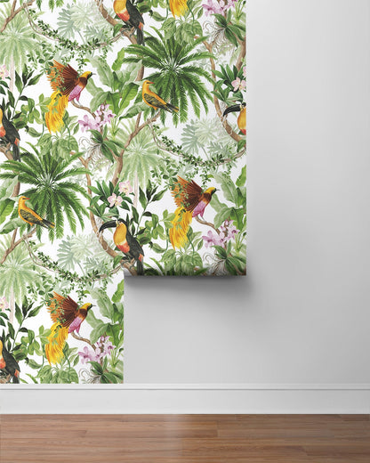 Tropical Bird Peel and Stick Removable Wallpaper