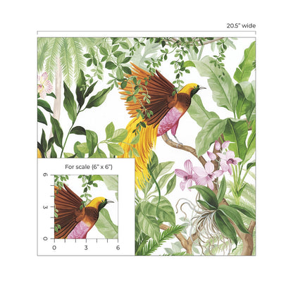Tropical Bird Peel and Stick Removable Wallpaper