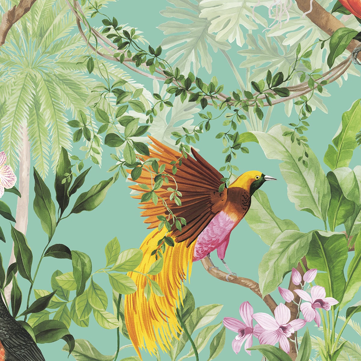 Tropical Bird Peel and Stick Removable Wallpaper