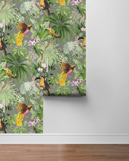 Tropical Bird Peel and Stick Removable Wallpaper